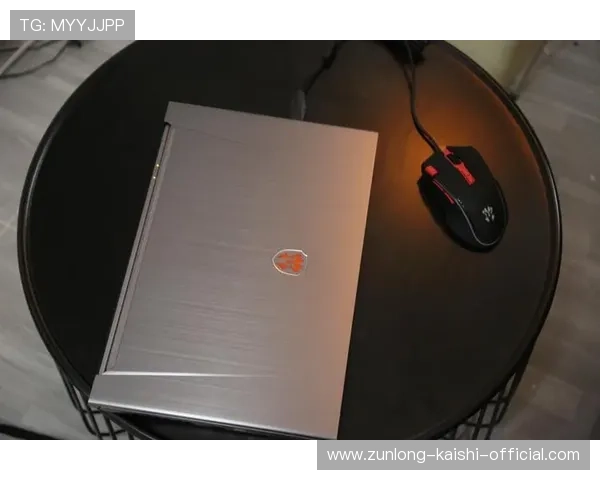 Z6备用会员的详细使用指南帮助玩家轻松切换提升游戏体验